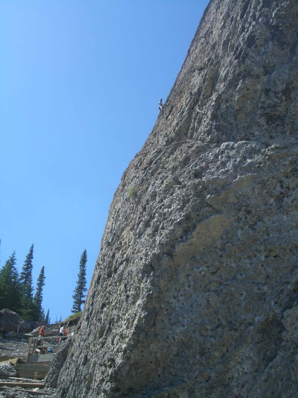 b0118001_22111599.jpg