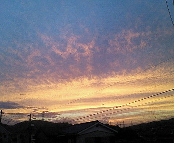 d0065116_19272536.jpg