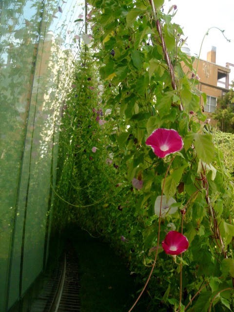 c0003723_13204117.jpg