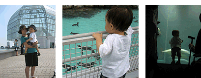 c0107235_1211184.gif