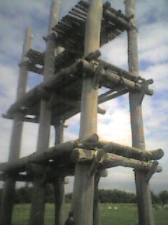 d0007150_64245.jpg