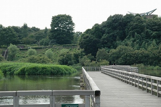 水海道あすなろの里ふれあい動物園_f0051254_1640947.jpg