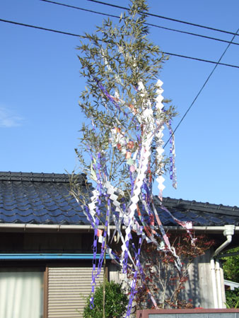 お空は大混雑!_e0028387_1134247.jpg