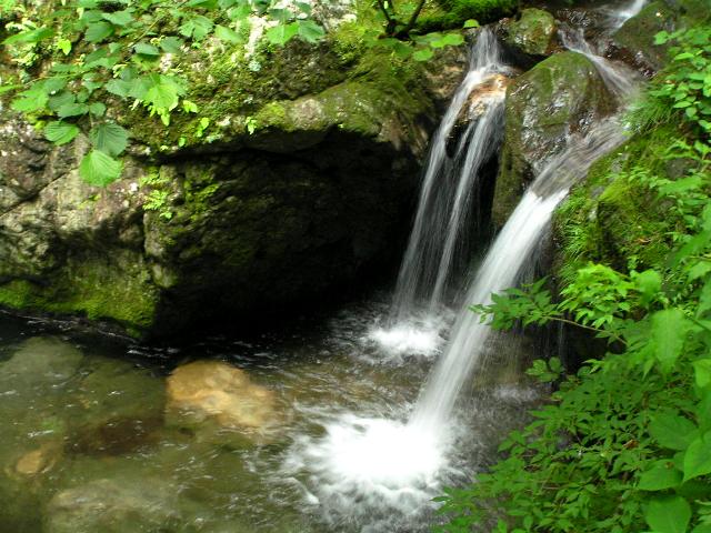 川苔山（かわのりやま）探訪。_c0034595_12224499.jpg