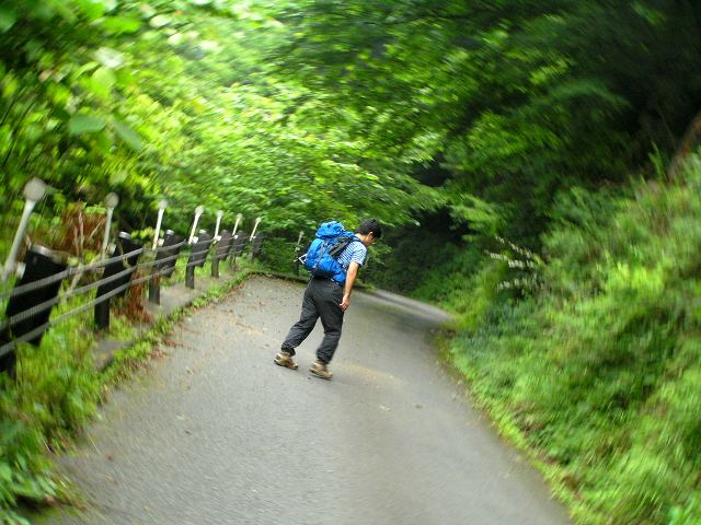 川苔山（かわのりやま）探訪。_c0034595_12295280.jpg