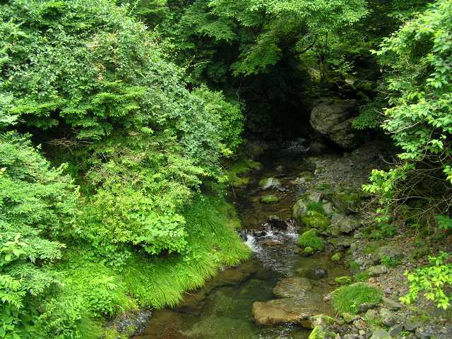 川苔山（かわのりやま）探訪。_c0034595_12314663.jpg