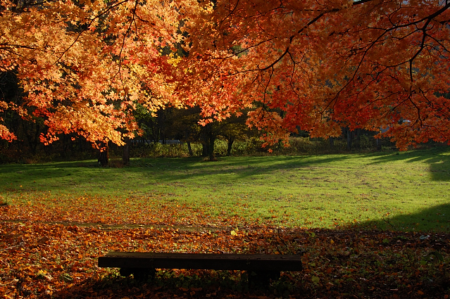 十和田周辺の紅葉～湖畔編～_c0134295_01596.jpg