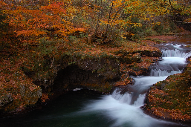 紅葉ラスト 岨谷峡 伏伸の滝編 poko日記2 紅葉ラスト 岨谷峡 伏伸の滝編 poko日記2