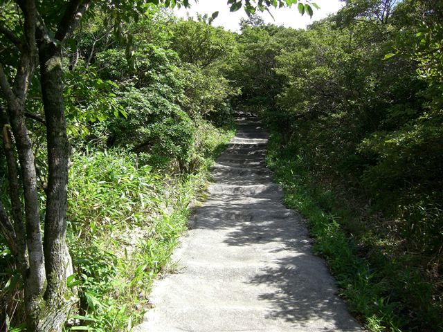 c0087001_8195252.jpg