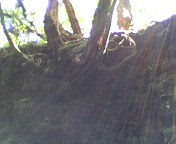 c0071003_15401963.jpg