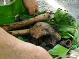 ウォレアイ環礁(メレヨン)で62年前に起きたこと-その四_a0043520_2333666.jpg