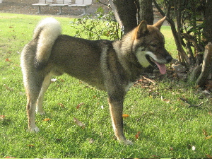 f0143123_98940.jpg
