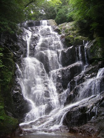 f0000330_19363063.jpg
