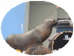 b0080033_1131991.gif