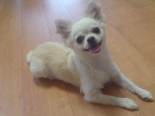 模範演技_c0099133_0435512.jpg