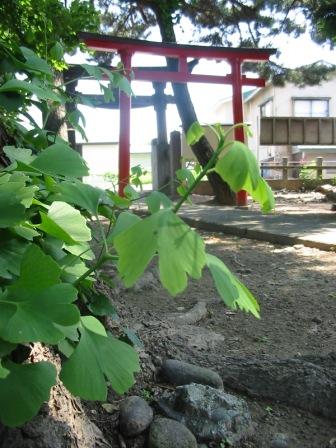 革彦稲荷神社　弘前市藤代_d0108344_17404575.jpg