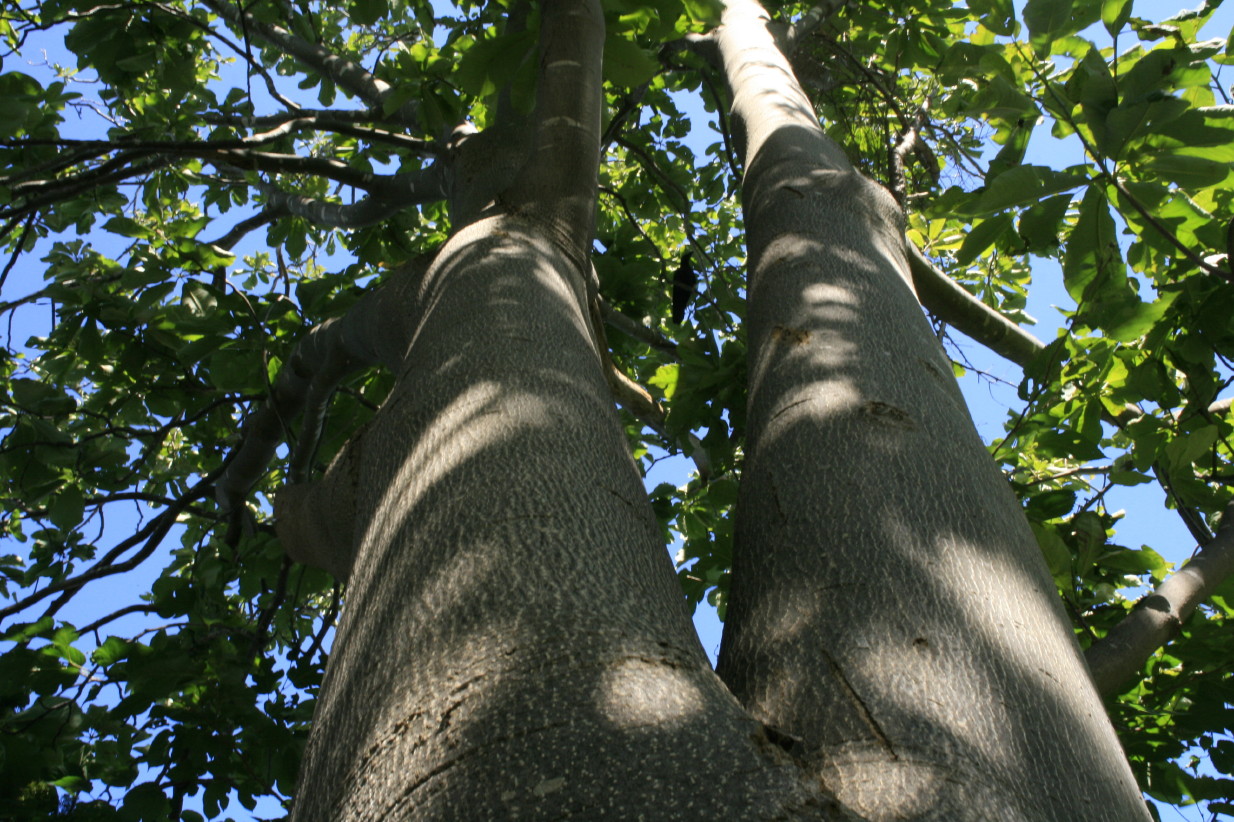 e0022344_21363043.jpg