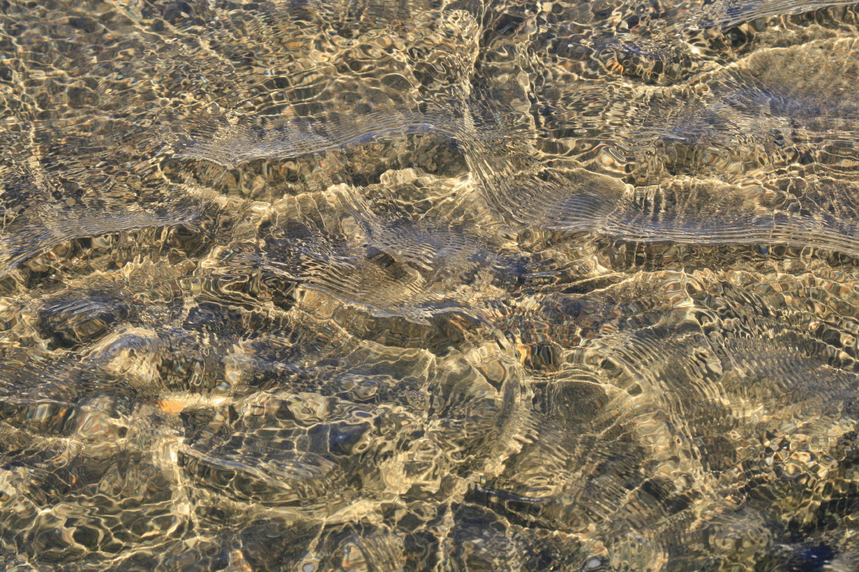 e0022344_2255557.jpg