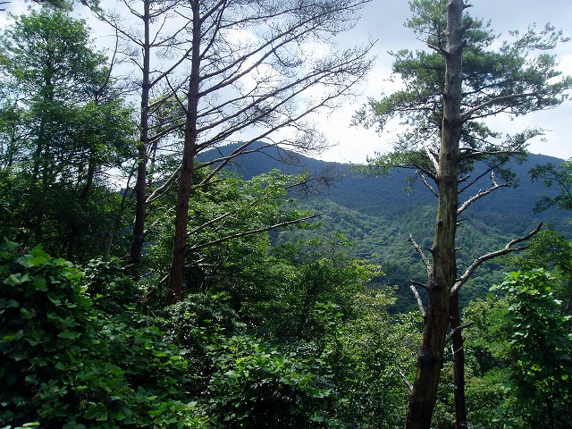 丹生山 うら、おもて_c0107149_14122521.jpg