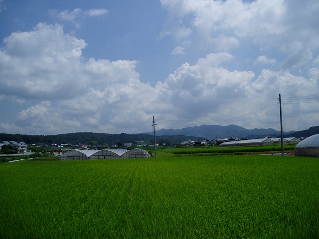 丹生山　うら、おもて_c0107149_1434670.jpg