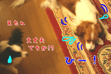 d0013149_119942.jpg