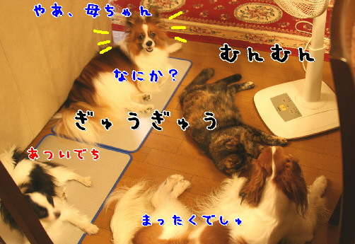 d0013149_125311.jpg