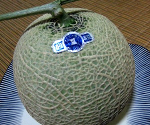 f0136850_0241354.jpg