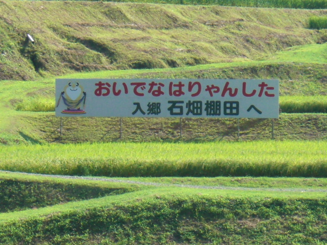 d0101562_1802043.jpg