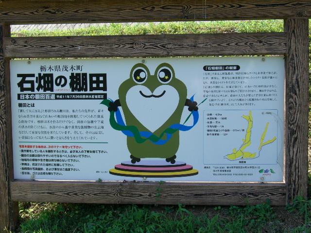 d0101562_181960.jpg