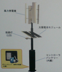 大体そんな感じ (2007-08-23-THU)_c0031472_402519.jpg