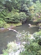 f0098680_2184181.jpg