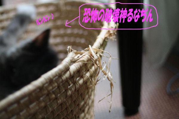 破壊神降臨!?_d0058182_12532418.jpg