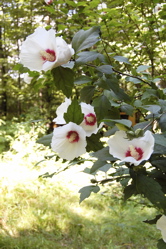 コンビニヒッチハイク。_d0028589_22262578.jpg