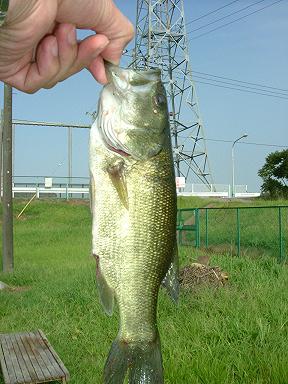 f0119889_11553735.jpg