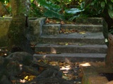 ウォレアイ環礁(メレヨン)で62年前に起きたこと-これから(その五)_a0043520_1147915.jpg