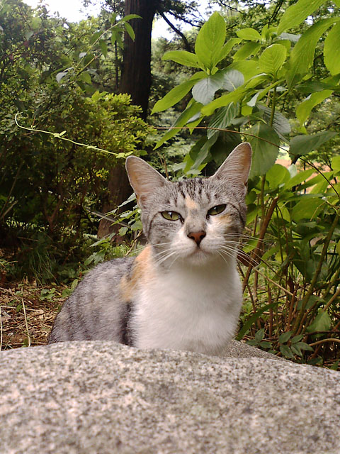 d0089024_13571446.jpg