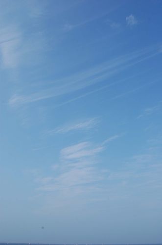 c0111535_2335854.jpg