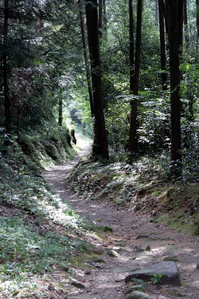 奈良の旅-8♪「歴史街道・山の辺の道」_d0058941_2072533.jpg