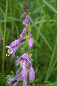 f0114346_21125616.jpg