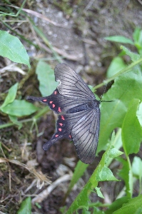 f0114346_21175636.jpg