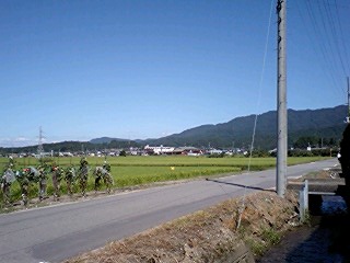 たまには田舎も良いもんだ。_f0106847_2132744.jpg