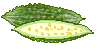 夏の終わり。_a0089450_21483374.gif