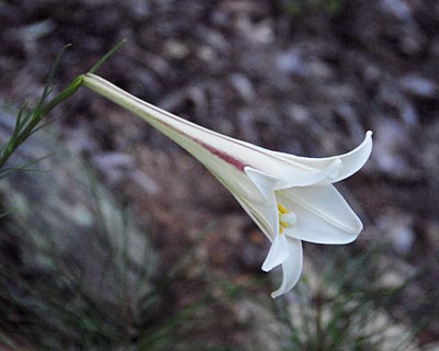 e0035757_22144594.jpg