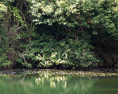 e0035757_22163675.jpg