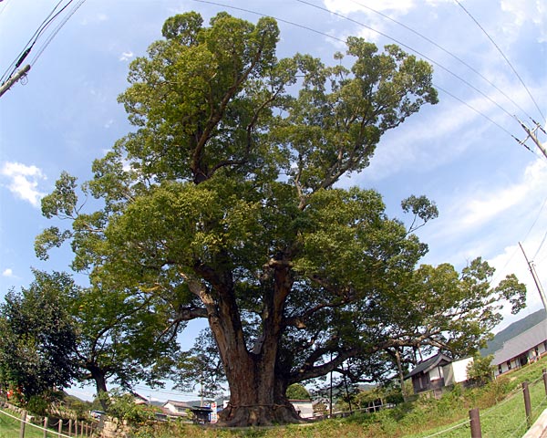 e0035757_22173679.jpg
