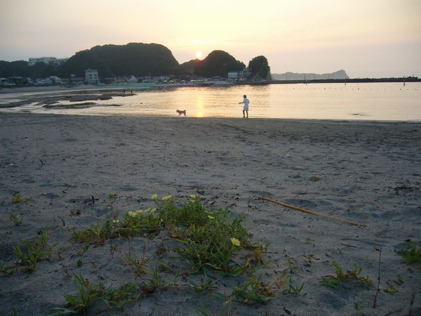 2007年8月25日(土)愛ちゃんのリトルオータム見~つけた!(ルー大柴風)_f0060461_1274770.jpg