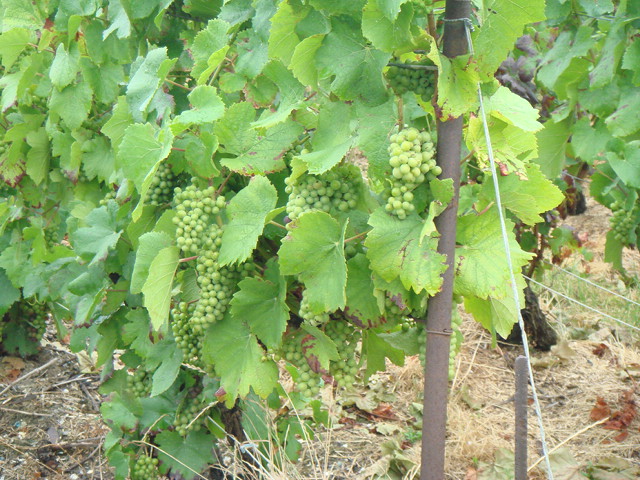 e0078564_15202.jpg