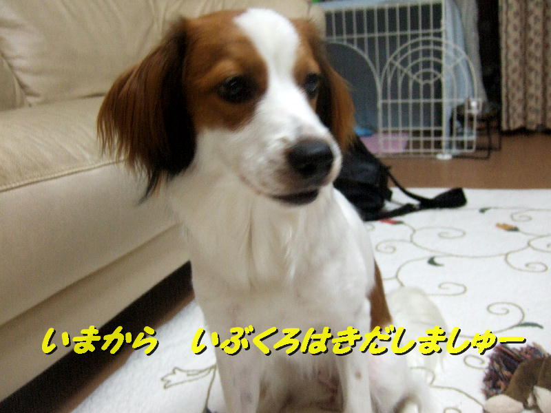 c0075585_13501146.jpg