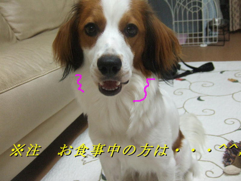 c0075585_13505161.jpg