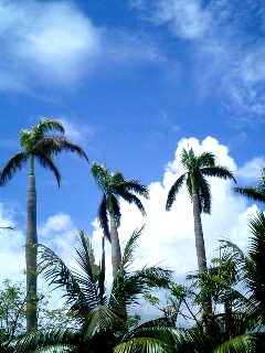 c0052091_16115578.jpg